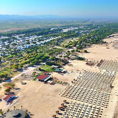 Sunset Paradise - 294