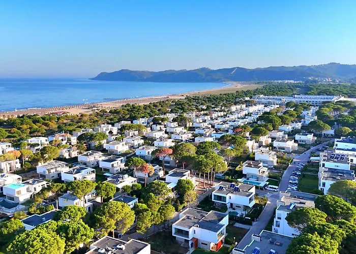 Sunset Paradise 294 دراس